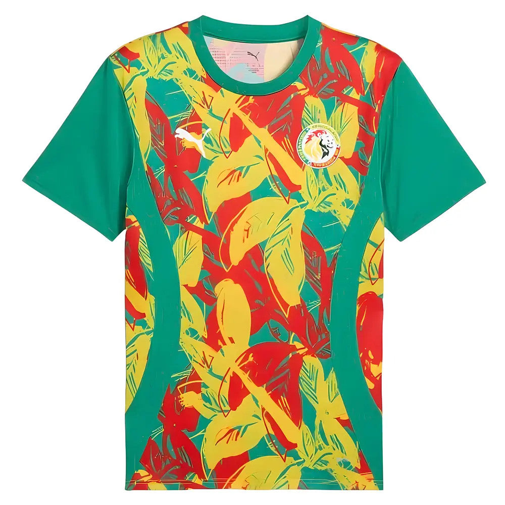 2024-2025 Senegal Prematch SS Jersey (Green)_0