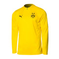 2024-2025 Borussia Dortmund Training 1/4 Zip Top (Yellow)_0