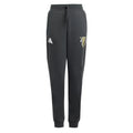 2024-2025 Jude Bellingham Tracksuit Bottoms (Grey) - Kids_0