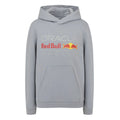 2025 Red Bull Racing Large Front Logo Hoodie (Grey)_0