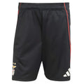 2025-2026 Benfica Training Shorts (Black)_0