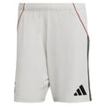2025-2026 Benfica Away Shorts (Wonder Alumina)_0