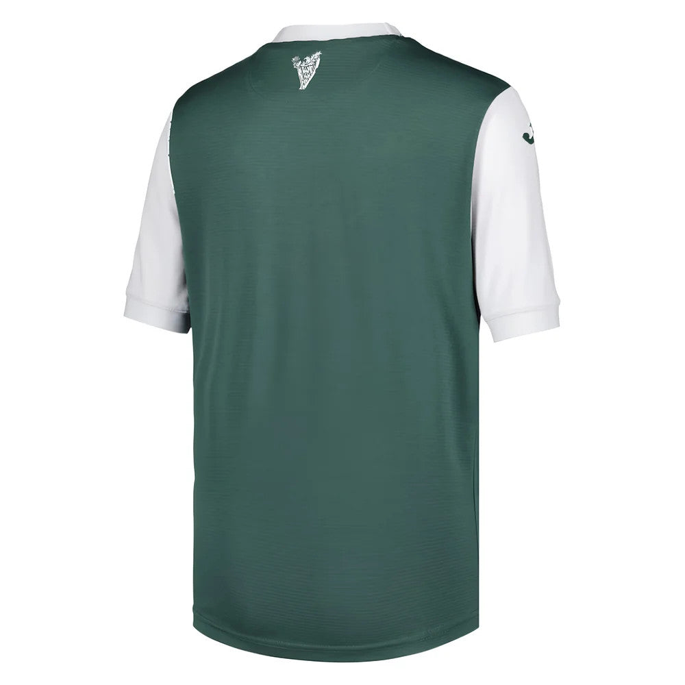 2025-2026 Hibernian Home Shirt - Kids_2