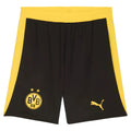 2025-2026 Borussia Dortmund Home Shorts (Black)_0