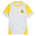 2025-2026 Borussia Dortmund Training Jersey (Silver Mist) - Kids_0