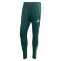 2025-2026 Arsenal Training Pants (Aurora Ivy)_0