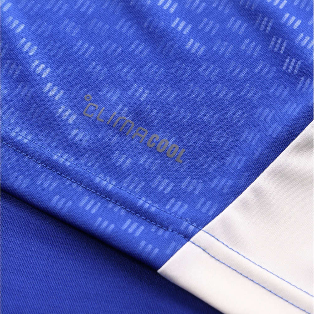 2026-2027 Juventus Training Jersey (Bold Blue) (Vlahovic 9)_5
